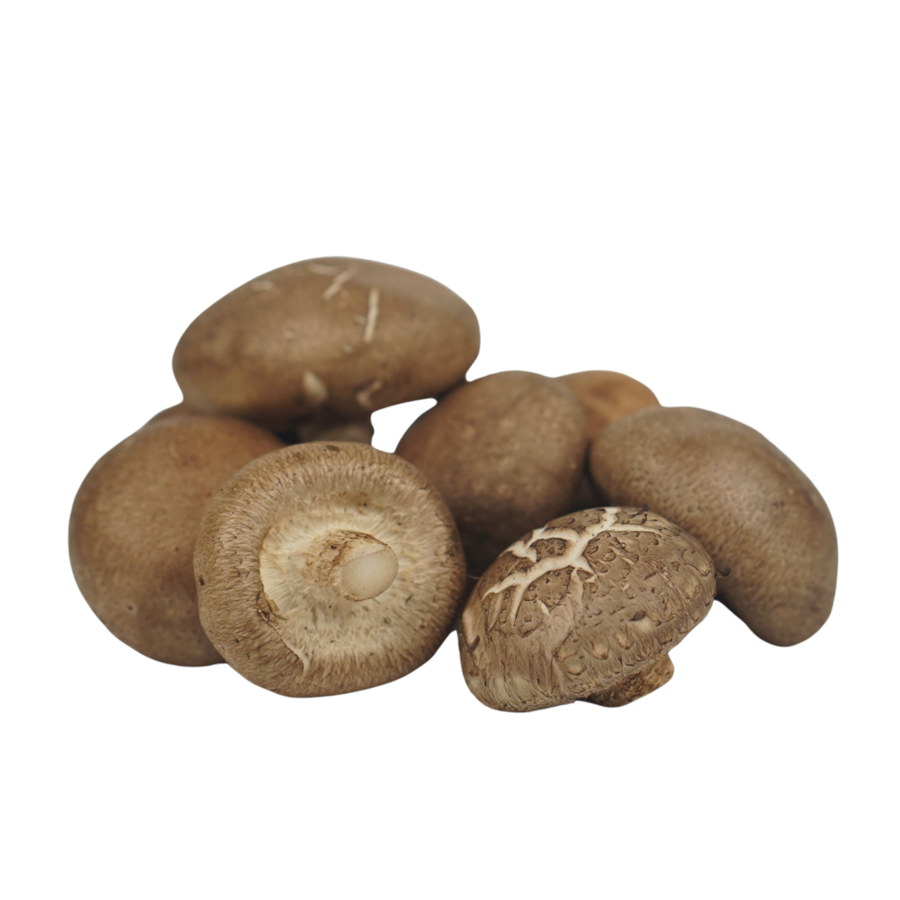 Jamur Shiitake Sufarm